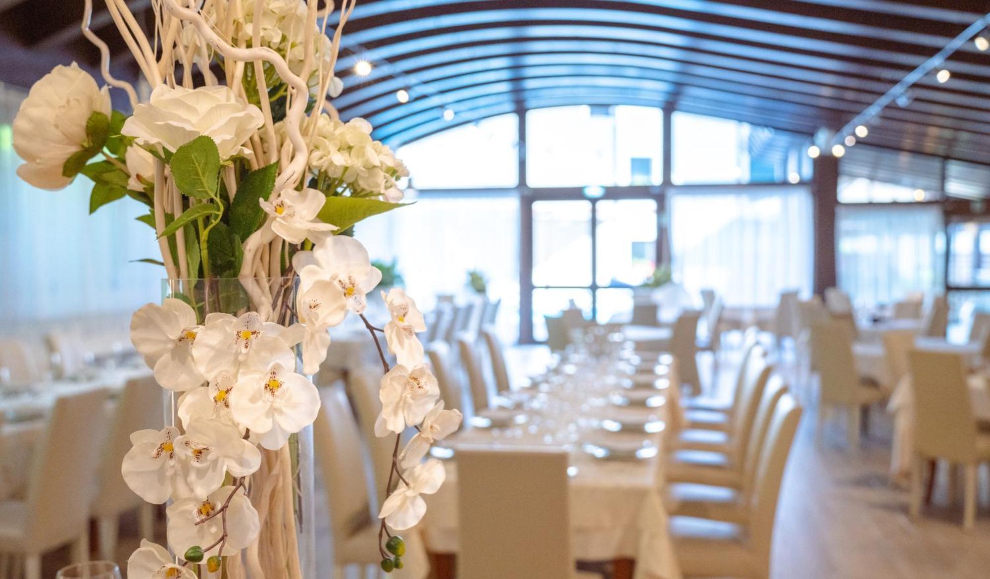 וילטה בריאה Hotel Degli Olmi מראה חיצוני תמונה